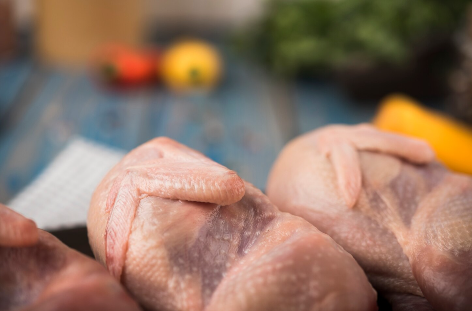 Pollo congelado para exportación